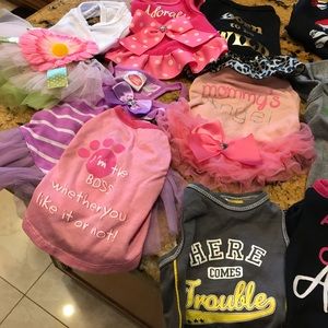 $14- Small dog clothing, 3 dog bandanas.